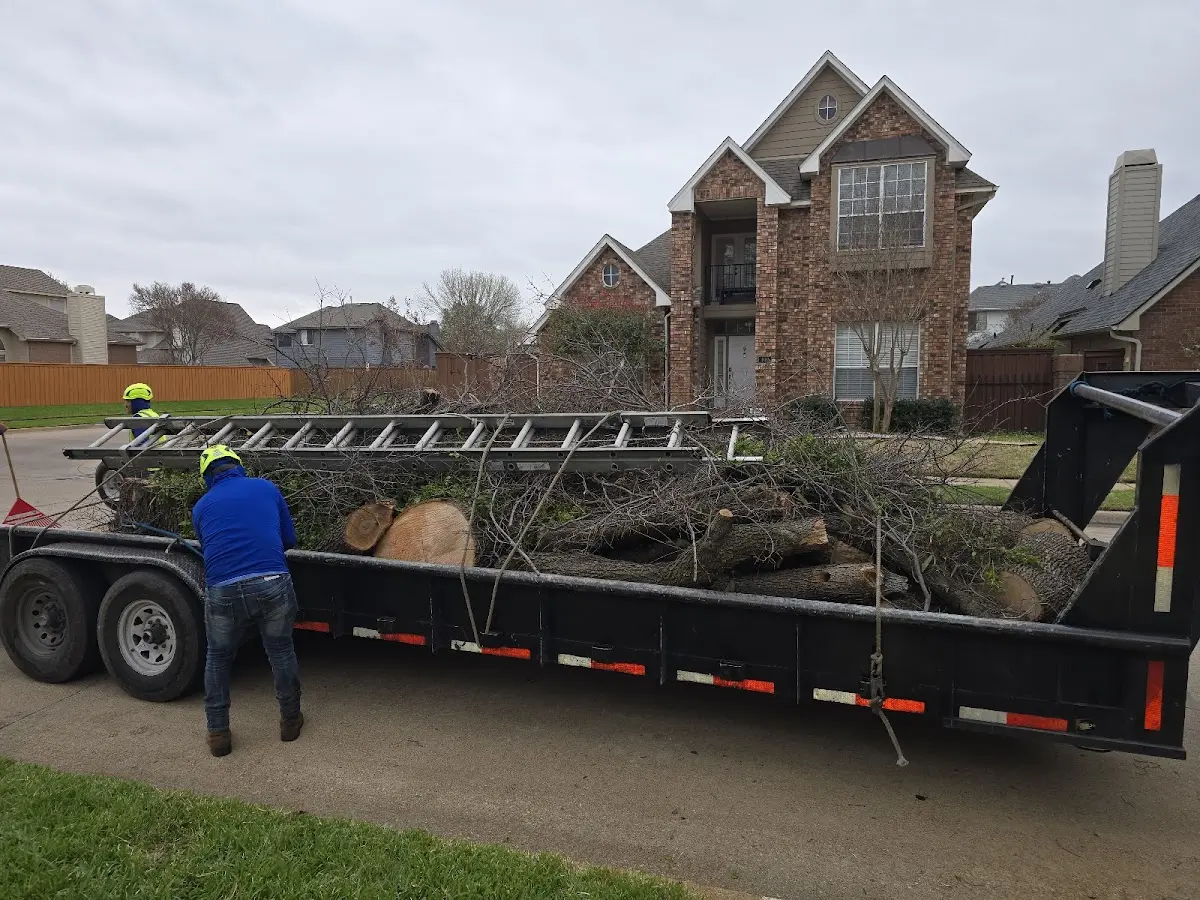Expert Tree Fertilization with proper safety equipment in Huxley